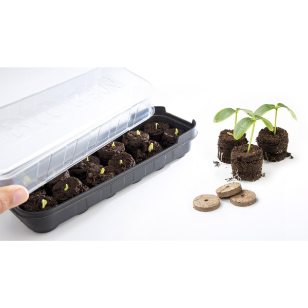 windowsill propagator, seed trays with lids