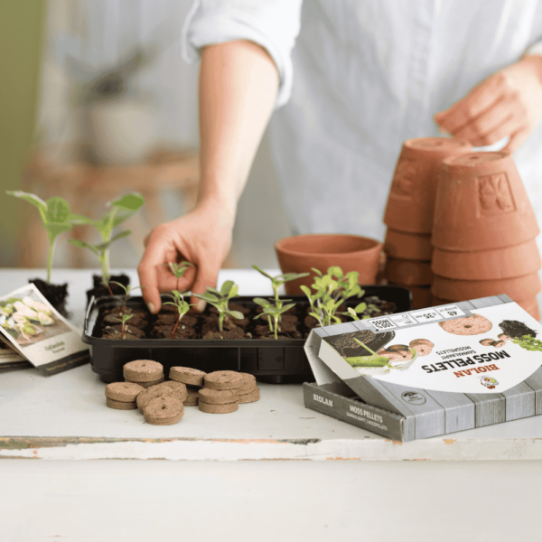 24-Seed Propagator in use