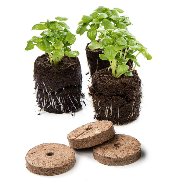 peat free pellets, growing pellets, Moss pellets