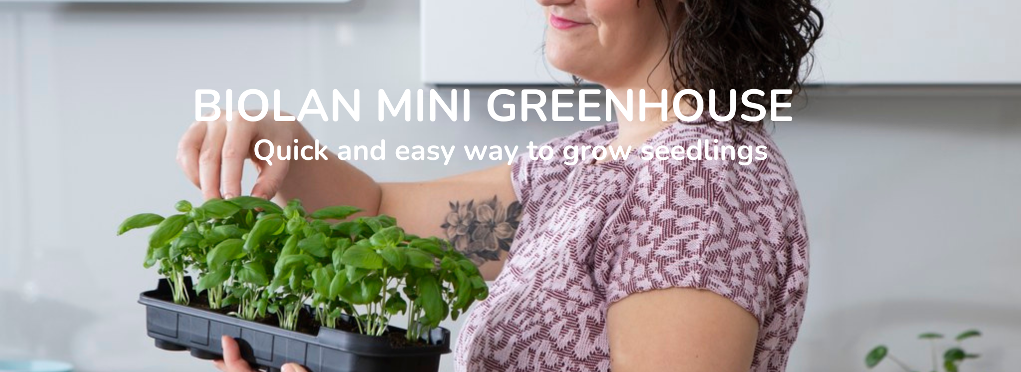 Mini Greenhouse, Propagator